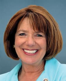 Official portrait of Susan A. Davis