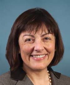 Official portrait of Suzan K. DelBene